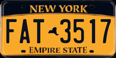 NY license plate FAT3517