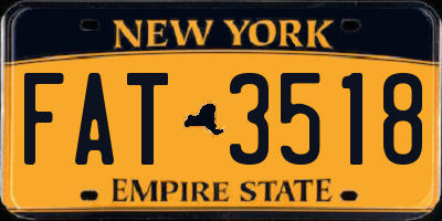 NY license plate FAT3518