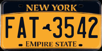 NY license plate FAT3542