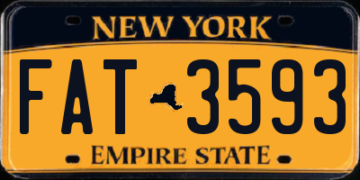 NY license plate FAT3593