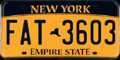 NY license plate FAT3603