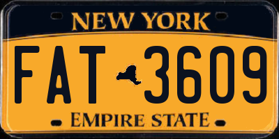 NY license plate FAT3609