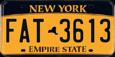 NY license plate FAT3613