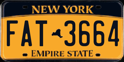 NY license plate FAT3664