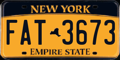 NY license plate FAT3673