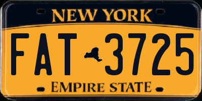 NY license plate FAT3725