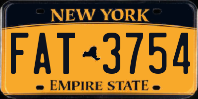 NY license plate FAT3754