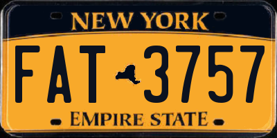 NY license plate FAT3757