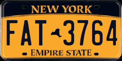 NY license plate FAT3764