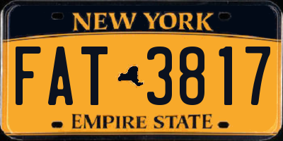 NY license plate FAT3817