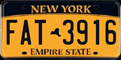 NY license plate FAT3916