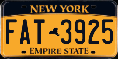 NY license plate FAT3925
