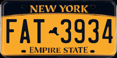 NY license plate FAT3934