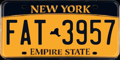 NY license plate FAT3957