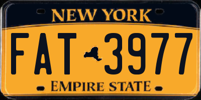 NY license plate FAT3977
