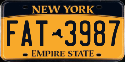 NY license plate FAT3987