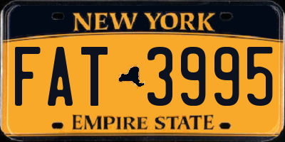 NY license plate FAT3995