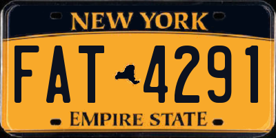 NY license plate FAT4291