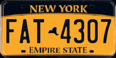 NY license plate FAT4307