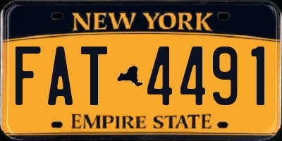 NY license plate FAT4491