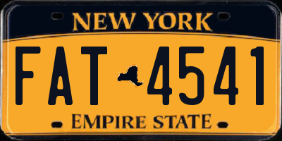 NY license plate FAT4541