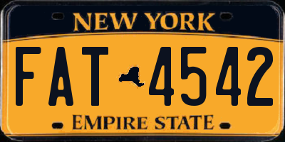 NY license plate FAT4542