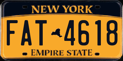 NY license plate FAT4618