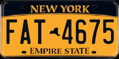 NY license plate FAT4675
