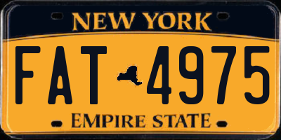 NY license plate FAT4975