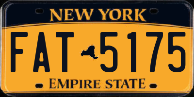 NY license plate FAT5175