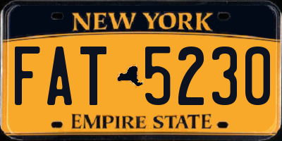 NY license plate FAT5230