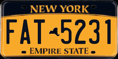 NY license plate FAT5231