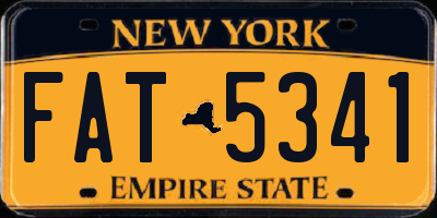 NY license plate FAT5341