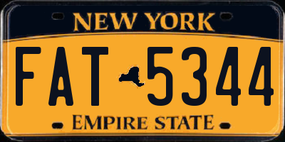 NY license plate FAT5344