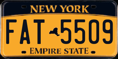 NY license plate FAT5509