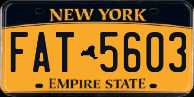 NY license plate FAT5603