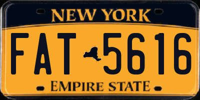 NY license plate FAT5616