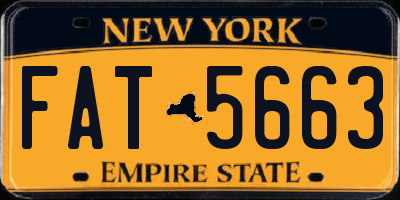 NY license plate FAT5663