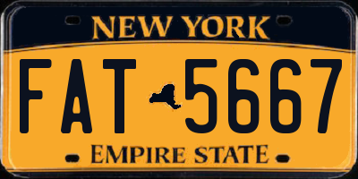 NY license plate FAT5667