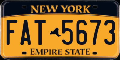 NY license plate FAT5673