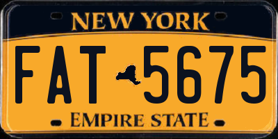 NY license plate FAT5675