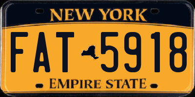 NY license plate FAT5918