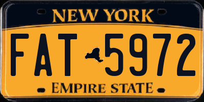 NY license plate FAT5972