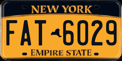 NY license plate FAT6029
