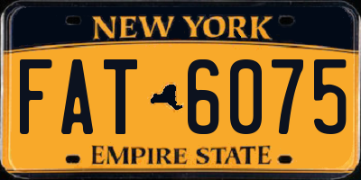 NY license plate FAT6075