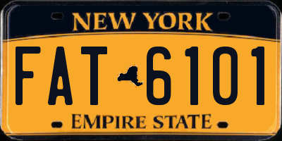 NY license plate FAT6101