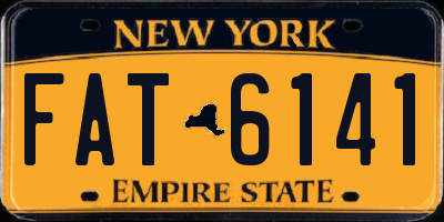 NY license plate FAT6141