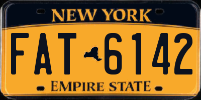 NY license plate FAT6142