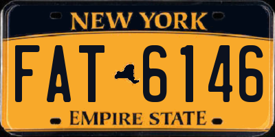 NY license plate FAT6146