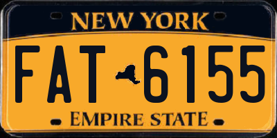 NY license plate FAT6155